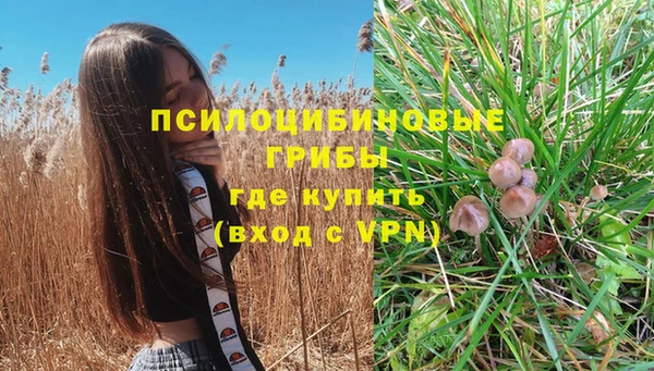MDMA Нязепетровск